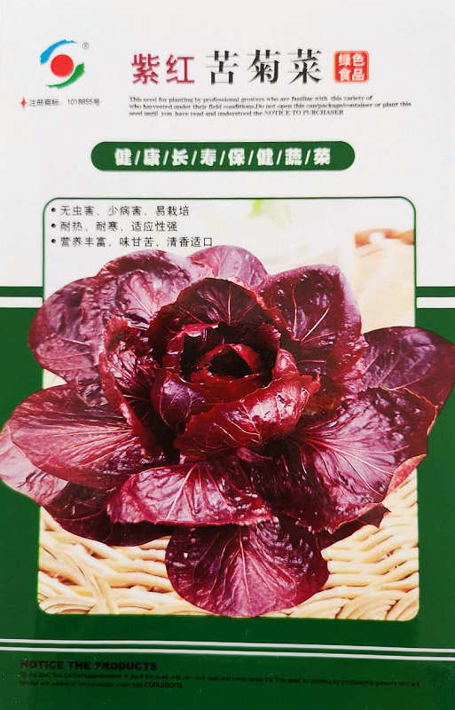 紫红苦菊菜——紫红保健菜